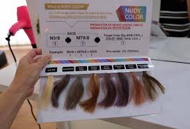 1malaysia people first, performance now, established. Malaysian Lifestyle Blog Hoyu Promaster Ex Hair Color Hairworx Wellness Review