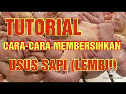 Mavil care adalah produk cuci usus no.1 di malaysia pada hari ini. Tutorial Cara Cara Membersihkan Usus Sapi Lembu Youtube