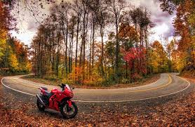 We did not find results for: The Dragon Nc Cosby Creek Cabins