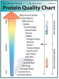 Celebrating Food Day At School Health Fitness __cat__