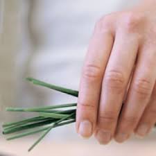 How to trim buds at harvest. How To Cut Chives Williams Sonoma