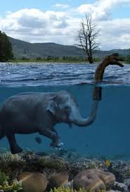 Den sanna natur loch ness monster har gett upphov till teorier om mass från rovdjur, ändrar form sjöhäst till sjöfåglar överlevande gånger ålder av dinosaurier, timmer, fisk, fåglar. Facebook