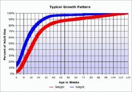 Pitbull Puppy Growth Chart Related Keywords Suggestions