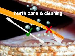 We did not find results for: Bearded Dragon Teeth And How To Care For Them