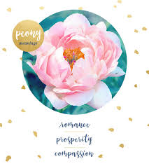As difficult as it is, it is important to reach out in sympathy. Peony Meaning And Symbolism Ftd Com