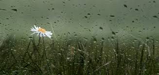 Kiss The Rain Piano Free Ring Tones Instrumental Ringtones