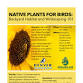Native Plants for Birds - Backyard Habitat and Wildscaping 101