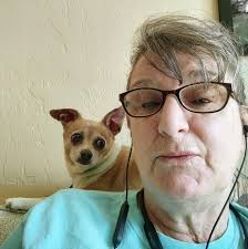 Is a chihuahua really barking in an elevator?