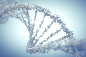Although the percentage of cases in men is much lower than in women, male breast cancer accounts for a por. Is Skin Cancer Genetic Conditions Us News