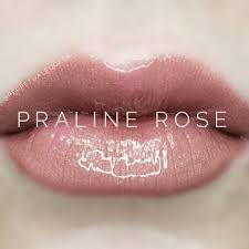 Lipsense By Senegence Long Lasting Liquid Lip Color - Mulled Wine 0.25 –  Beauty Connection