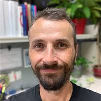 90+ "Daniel Cam" profiles