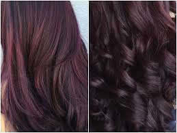 Deep burgundy violet if you want purple locks but your skin has yellow undertones, go for a cool tone. Purple Deep Burgundy Hair Color Novocom Top