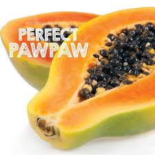 This applies to the asimina triloba pawpaw, or common pawpaw, which grows from north florida all the way to canada. How To Grow Pawpaw About The Garden Magazine