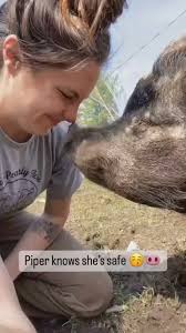 Animals show their appreciation when they realize they've been rescued and  are given the life they truly deserve. 🐽💚, ⁠, 🎥: Video thanks to the  wonderful The Pearly Acre Pig Sanctuary , #vegan ...