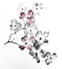 Black And White Watercolor Tattoo Floral Illustration Black And White Watercolor Google Otsing White Flower Tattoos Pink Flower Tattoos Dogwood Tattoo