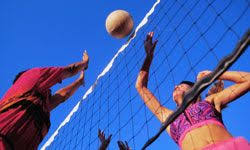 My dad's going to build a volleyball net in our 1 acre backyard. Fypt2rvdtuwuxm