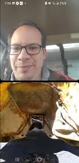 I Now Own A Parts Car In Australia: I Have Officially Peaked As A Human  Being