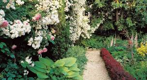 Transform A Small Garden In 7 Simple Steps Garden Design Small Garden Design Garden Design Small Gardens