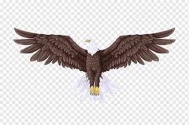 On our second day in yellowstone, we received word that the canyon wolf pack had put down an elk near madison junction birds in flight. Bald Eagle Flight Drawing Brown Eagle Animals Flight Bird Png Pngwing