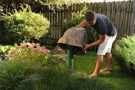 14 Blumen Die Den Garten Verzaubern Ohne Arbeit Zu Machen Gemuse Anbauen Anbau Und Tomaten Pflanzen