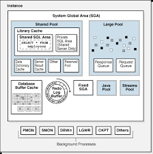 Check out the pronunciation, synonyms and grammar. Oracle Database Instance