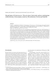 Image result for Crepidorhopalon goetzei