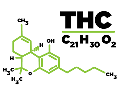 à¸à¸¥à¸à¸²à¸£à¸à¹à¸à¸«à¸²à¸£à¸¹à¸à¸ à¸²à¸à¸ªà¸³à¸«à¸£à¸±à¸ thc