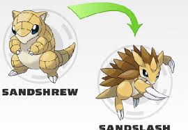 Sandshrew Evolution Chart Pictures On Tcs