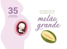 35 Semanas De Gravidez Blog Da Cordvida