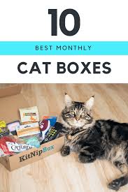 As low as $19.99/month with free shipping! 12 Best Monthly Cat Subscription Boxes Urban Tastebud