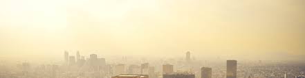 Searching for a vehicle's smog check history will not impact the transmission of electronic smog certificates to. Ess Topic 6 3 Photochemical Smog Amazing World Of Science With Mr Green