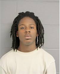 ᐅ Illinois Criminal Records 2009-2025