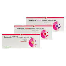 Amoxicilina arena 500mg substanta activa: Clavaseptin 500 Mg 10 Tablete 57 60 Ron Petmart Petshop