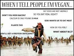 Veganmemes Vegan Vengantina305 Vegancantina Brujijuju Veganaf Vegans Veg Hayvan Bitki Veganlar