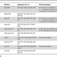 Image result for Danthoniopsis petiolata