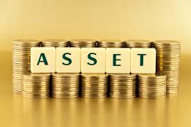 Assets are often protected and given false praise because no chief or administrator has the balls to terminate a female who can't do the job. Understanding Intangible Assets For Business Amortization Tax Benefits