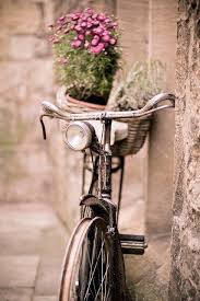 Pin Von Brigitte Reiter Auf Rosa Grune Fee Altes Fahrrad Bilder