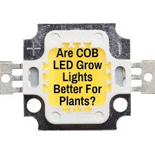 Are Cob Led Grow Lights Better For Plants Grow Light Info
