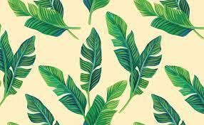 Falling Palms In 2021 Palm Leaf Wallpaper Cool Wallpapers For Laptop Leaf Wallpaper