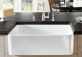 blanco cerana apron front sink review