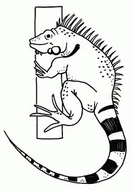 Select from 35970 printable crafts of cartoons, nature, animals, bible and many more. 9836 Printable Pictures Iguana Animal Coloring Page Templates For Coloring Home