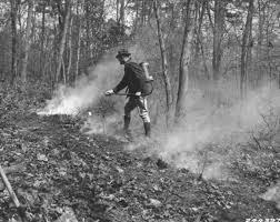 Rare Historical Photos of Smokejumpers ...
