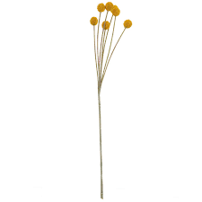 Tansy is especially attractive to. Yellow Billy Button Spray Hobby Lobby 153290