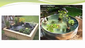 Keren Nih 40 Gallery Ide Membuat Kolam Ikan Cantik Di Rumah Anda Youtube