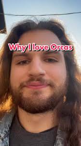 Get to Know Orcas: Orcaman's Insights