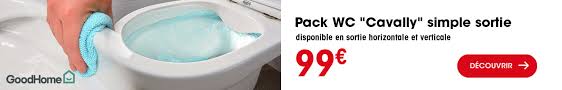 Alimentation Wc Raccord Wc Sortie Horizontale Ou Verticale Brico Depot