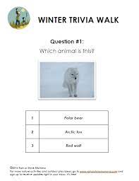 Winter worksheets are great for snowy days indoors. Winter Themed Nature Trivia Walk Free Printable Rain Or Shine Mamma