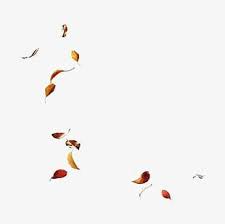 Leaves Falling Png Images Leaves Falling Clipart Free Download Also real falling leaves png available at png transparent variant. leaves falling png images leaves