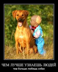 чем больше я узнаю людей тем больше я люблю собак Chem Luchshe Uznaesh Lyudej Tem Bolshe Nachinaesh Lyubit Sobak Oni Nikogda Tvoyu Dobrotu I Predannost Ne Sochtut Za Slabost I Ne Budut Somnevatsya V Tom Chto