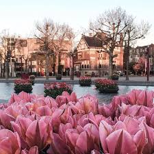 Rafal Sulowski Beautiful Places To Travel Beautiful Places To Visit Amsterdam Pictures